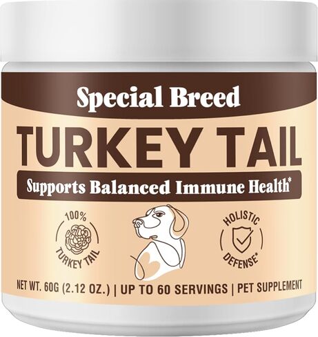 Turkey Tail Mushroom for Dogs and Cats - Certified Organic Turkey Tail Powder, Canine Immune Support, 200 Grams in Kuwait