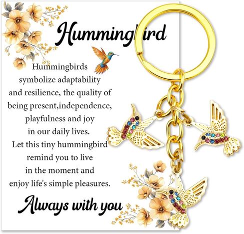 Ibiwe Hummingbird Gifts For Women Colorful Hummingbird Ornament Bird Gifts For Mom Grandma Sister Friends Valentines Day Mothers Day Birthday Gardening Gift For Daughter Graduation Christmas in Saudi Arabia