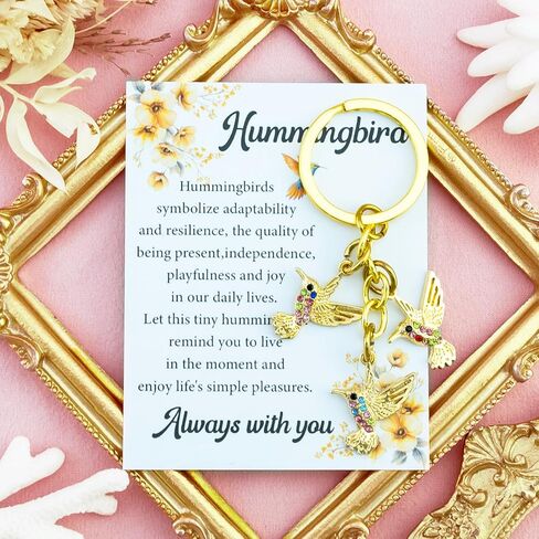 Ibiwe Hummingbird Gifts For Women Colorful Hummingbird Ornament Bird Gifts For Mom Grandma Sister Friends Valentines Day Mothers Day Birthday Gardening Gift For Daughter Graduation Christmas in Saudi Arabia