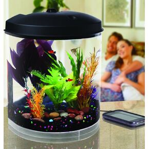 Koller Products 3.5-Gallon Aquarium with Sleep Sound Machine (Nature Sounds), LED Lighting (7 Color Choices) and Power Filter in Kuwait