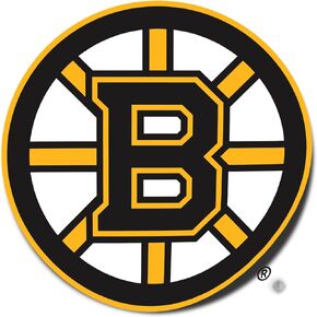 Boston Bruins Team NHL National Hockey League Sticker Vinyl Decal Laptop Water Bottle Car Scrapbook (Individual A)