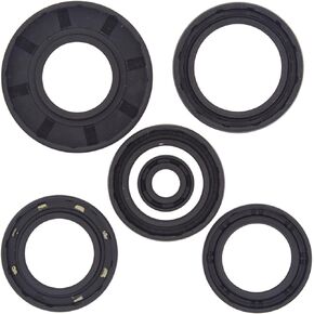 822251 Oil Seal Kit