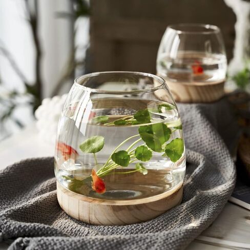 MITINE Wooden Support Transparent Glass vase Green Dill hydroponic Plant Ecological Fish Tank Simple Desktop Flower Arrangement, Candy Bowl Storage Container in Saudi Arabia