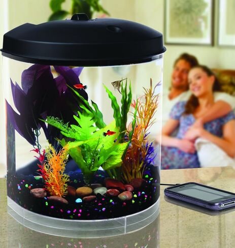 Koller Products 3.5-Gallon Aquarium with Sleep Sound Machine (Nature Sounds), LED Lighting (7 Color Choices) and Power Filter in Kuwait