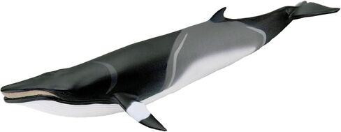 Safari Ltd. Minke Whale Figurine - Hand-Painted, Lifelike 7" Model Figure - Educational Sea Life Toy for Boys, Girls & Kids Ages 3+ in Saudi Arabia