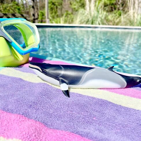 Safari Ltd. Minke Whale Figurine - Hand-Painted, Lifelike 7" Model Figure - Educational Sea Life Toy for Boys, Girls & Kids Ages 3+ in Saudi Arabia