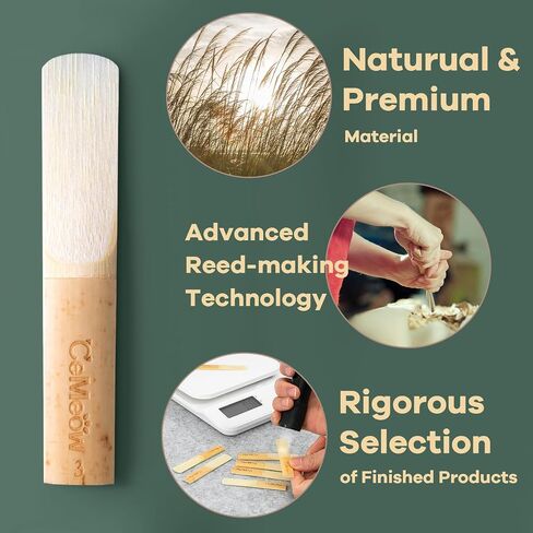 Alto Saxophone Reeds 2.0, Professional Alto Sax Reeds 10Pack with Plastic Box, Thinner Reed Tip Advanced Cutting Technology for Saxophone Beginner and Player in Saudi Arabia
