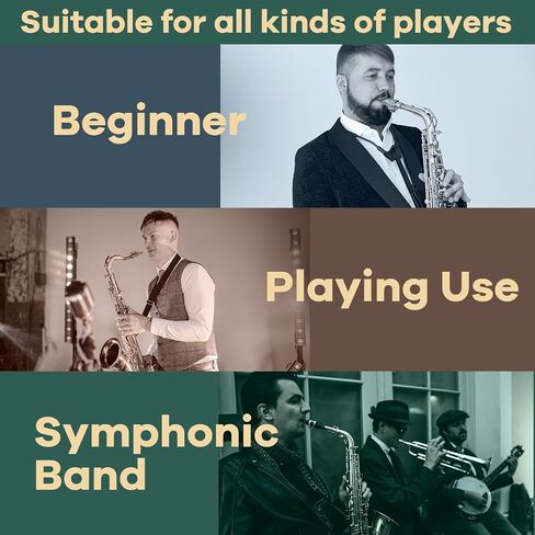 Alto Saxophone Reeds 2.0, Professional Alto Sax Reeds 10Pack with Plastic Box, Thinner Reed Tip Advanced Cutting Technology for Saxophone Beginner and Player in Saudi Arabia