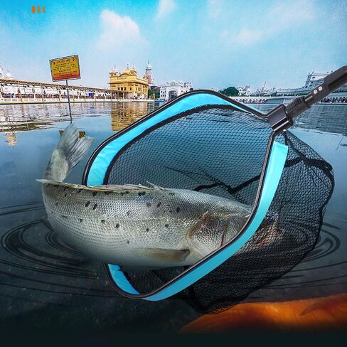 Folding Fishing Net Landing Net with Telescopic Aluminum Pole Handle Rubber Coated Net for Freshwater Saltwater Fly, Trout, Bass in Saudi Arabia