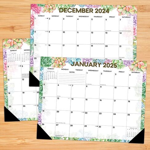 Willow Creek Press Succulents Academic يوليو 2024 - يونيو 2025 22 × 17 بوصة تقويم مكتبي شهري كبير، لوحة مكتب أو تقويم حائط in Saudi Arabia