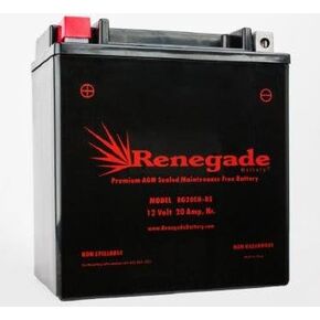 RG20CH-BS 350+ CCA؛ بطارية عربة الثلج لبولاريس (2014، 2015، 2016، 2017، 2018، 2019، 2021، 2022، 2023) 550 سلسلة إندي، 550 سويتش باك، 550 فوياجيور، 550 وايد تراك in Kuwait