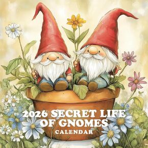 2026 Secret Life Of Gnomes Calendar (12x12) in Kuwait