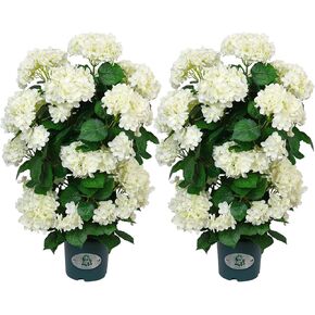 Faux Hydrangea Tree – 30 Inch Hydrangea Tree Artificial with White Flowers, UV Resistant Outdoor Hydrangea Artificial Plants in Pot for Indoor Outdoor Home Porch Decor (2 Pack) in Kuwait