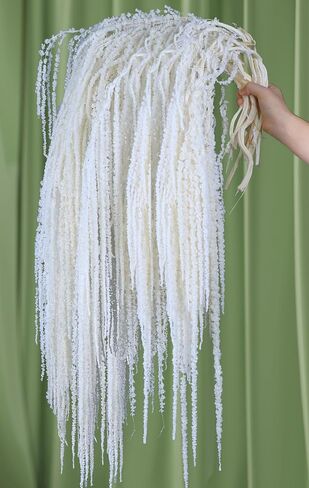 5Pcs Cream White Wisteria Vine Hanging Flowers - Dried Preserved Cream Hanging Amaranthus Flowers for Wedding Bouquet, Wall Decoration, Length Home Decor in Saudi Arabia