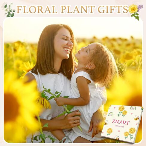 هدايا عباد الشمس HAPPYPOP - جوارب عباد الشمس، هدايا نباتية مضحكة، جوارب أشعة الشمس لمحبي الزهور in Kuwait