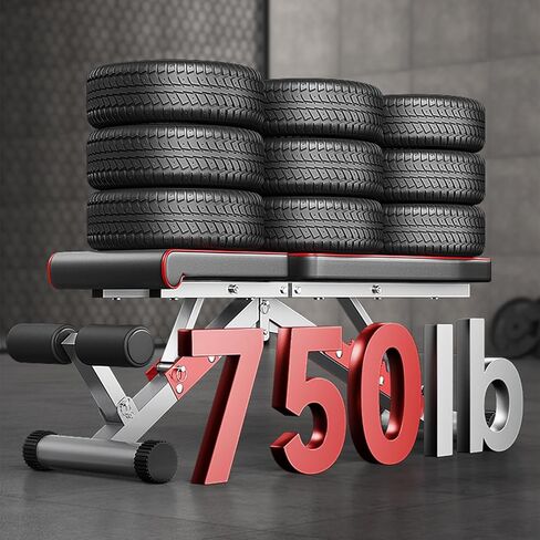 مقعد رفع الأثقال، مجموعة تمرينات ضغط قابلة للتعديل للتمرين المنزلي في صالة الألعاب الرياضية لكامل الجسم، مقعد رفع سهل التجميع وقابل للطي، أقصى حمل 750 in Kuwait
