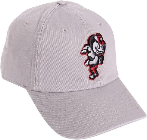 Desert Cactus The Ohio State University Baseball Hat OSU Buckeyes Brimmed Embroirderd Hats Cap Adjustable Cloth Strap Adult (Style F1) Red in Saudi Arabia