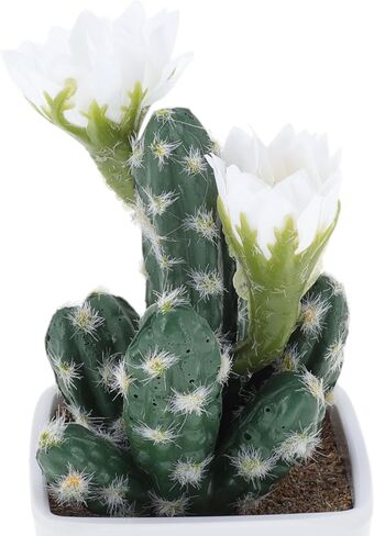 1 Pcs Artificial Plants Multi-Head Cactus Artificial Potted Plant Plastic White 7.7x7.7x17cm in Saudi Arabia