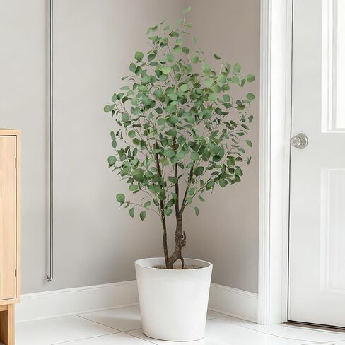 شجرة الأوكالبتوس الاصطناعية بطول 5 أقدام، نبات صناعي كبير وأشجار حرير وهمية مع وعاء للمنزل والمكتب وغرفة المعيشة وغرفة النوم والديكور الداخلي والخارجي (طوله 5 أقدام) in Kuwait