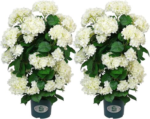 Faux Hydrangea Tree – 30 Inch Hydrangea Tree Artificial with White Flowers, UV Resistant Outdoor Hydrangea Artificial Plants in Pot for Indoor Outdoor Home Porch Decor (2 Pack) in Kuwait