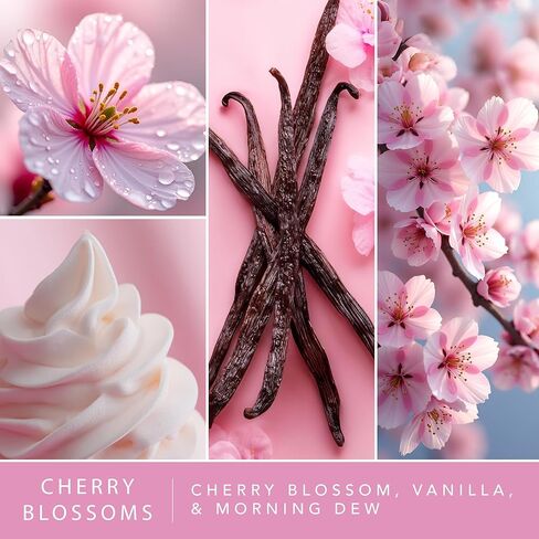 ScentSationals Cherry Blossoms Fragrance Oil Plug In Air Freshener Refills 3-Pack - Works with Scentsationals Wall Plugs, Long-Lasting Home Fragrance, 0.8 fl oz Each, Packaging May Vary in Saudi Arabia