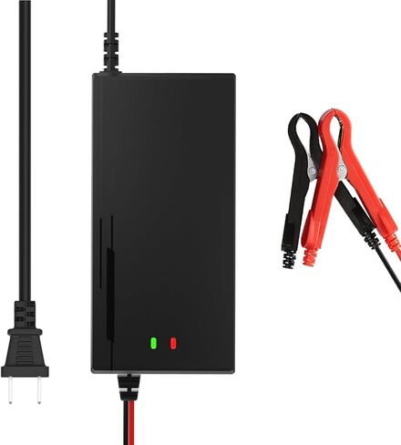 43.8V 10A Lithium Battery Charger for 36V LiFePO4 Battery, Fast Charging, High Efficiency, LED Indicator, Durable Design with Overheat Multiple Safety Protection for Golf Cart and RV in Saudi Arabia