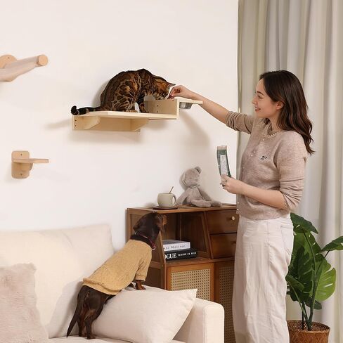 أرفف حائط للقطط من فوكومارو، مجموعة أثاث حائط للقطط 3 في 1، محطة طعام للقطط مع درجتين للحائط، مجثم قطط من الخشب المطاطي الصلب، مناسبة للعب القطط، والقيلولة، وتناول الطعام، وصالة الألعاب الرياضية الجدارية في الغابة in Kuwait
