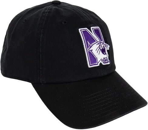 Desert Cactus Northwestern University Baseball Hat NU Wildcats Brimmed Embroirderd Hats Cap Adjustable Cloth Strap Adult (Style E) Purple in Saudi Arabia