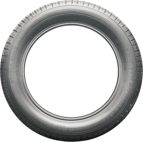 Milestar Weatherguard AS710 Sport All Season 205/65R16 99H XL Passenger Tire in Saudi Arabia
