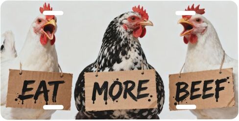 Retro Arizona State Flag Front License Plate Car Decorative License Plates Aluminum Metal Decor Accessory Novelty Vanity Tag Cover with 4 Holes for Men Women 6" X 12" in Kuwait