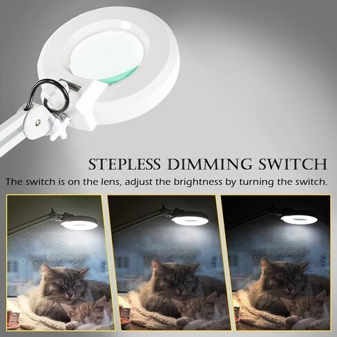 عدسة مكبرة VARIPOWDER 5X مع ضوء وحامل، مصباح أرضي مكبر مع 5 عجلات متدحرجة، مصباح أرضي لأخصائيي التجميل للوجه، وصلات رموش عمل قابلة للتعتيم، الخياطة، العمل القريب، الحرف اليدوية in Kuwait