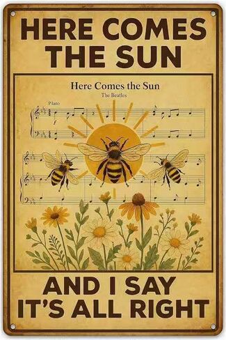HEY JUDE TAKE A SAD SONG AND MAKE IT BETTER - Vintage Metal Tin Signs The Beatles Poster Gifts Wall Art Bird Signs 8 X 12 Inch in Saudi Arabia