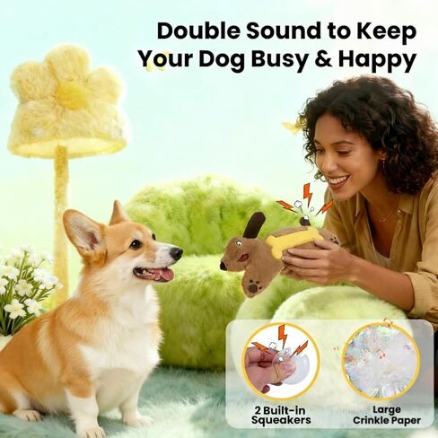 hgb ألعاب الكلب صار، لا حشو ألعاب الكلب التجعيد للكلاب الصغيرة، أفخم جرو مضغ اللعب لإبقائهم مشغولين، لطيف نجم البحر ألعاب الكلاب الصغيرة لسلالة صغيرة متوسطة كبيرة، ألعاب الحيوانات الأليفة التفاعلية للملل in Kuwait