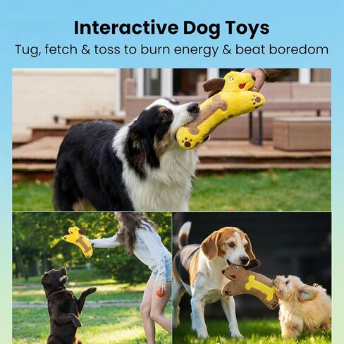 hgb ألعاب الكلب صار، لا حشو ألعاب الكلب التجعيد للكلاب الصغيرة، أفخم جرو مضغ اللعب لإبقائهم مشغولين، لطيف نجم البحر ألعاب الكلاب الصغيرة لسلالة صغيرة متوسطة كبيرة، ألعاب الحيوانات الأليفة التفاعلية للملل in Kuwait