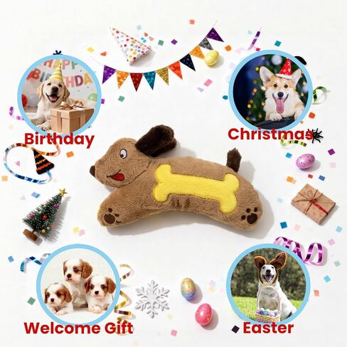hgb ألعاب الكلب صار، لا حشو ألعاب الكلب التجعيد للكلاب الصغيرة، أفخم جرو مضغ اللعب لإبقائهم مشغولين، لطيف نجم البحر ألعاب الكلاب الصغيرة لسلالة صغيرة متوسطة كبيرة، ألعاب الحيوانات الأليفة التفاعلية للملل in Kuwait
