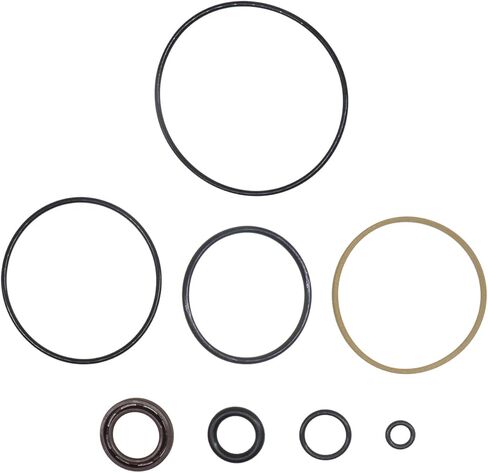 5008985 Trim Piston Repair Seal Kit for Evinrude ETEC 75-115hp 2004-2012 FSM016 in Saudi Arabia