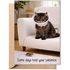 Funny Get Well Soon Card – Cute Cat Recovery Card with Cone, Light Humor Encouragement, Get Well Soon Gift for Friend, Coworker, Family – 5x7 Folded Greeting Card with Envelope in Kuwait