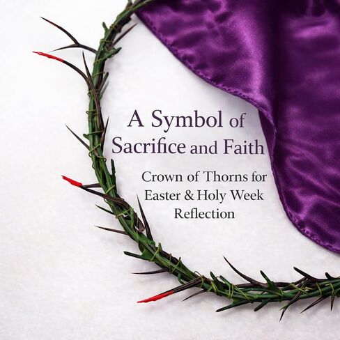 10 Pcs Crown of Thorns Set for Easter & Good Friday – Jesus Crown with 3 Crucifixion Nails, 2 Dice, Whip & Purple Cloth – Holy Week Church Play Christian Religious Decor in Saudi Arabia