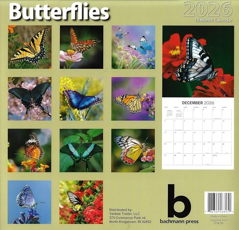 2026 تقويم حائط كامل الحجم للفراشات للتخطيط والجدولة والتنظيم in Kuwait