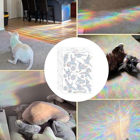 62 قطعة من ملصقات نافذة الطيور، ملصقات نافذة مضادة للتصادمات لإنقاذ الطيور من الضربات، ملصقات باب زجاجي قوس قزح لاصطياد الشمس لمنع ضربات نافذة الطيور in Kuwait