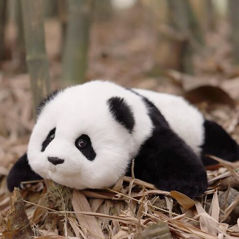 Chongker Weighted Stuffed Animals - Red Panda Plush Animals Collection, Handmade Like Real, Large Size Stuffed Animals Red Panda Kevin in Saudi Arabia