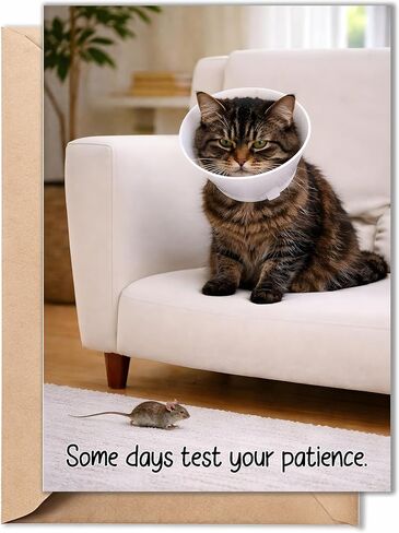 Funny Get Well Soon Card – Cute Cat Recovery Card with Cone, Light Humor Encouragement, Get Well Soon Gift for Friend, Coworker, Family – 5x7 Folded Greeting Card with Envelope in Kuwait