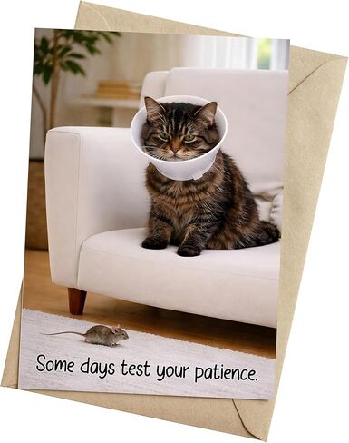 Funny Get Well Soon Card – Cute Cat Recovery Card with Cone, Light Humor Encouragement, Get Well Soon Gift for Friend, Coworker, Family – 5x7 Folded Greeting Card with Envelope in Kuwait