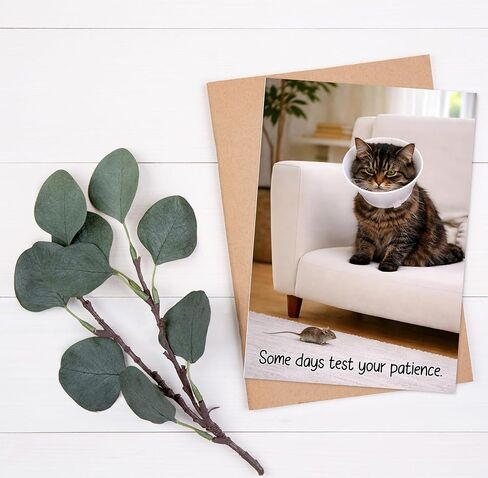 Funny Get Well Soon Card – Cute Cat Recovery Card with Cone, Light Humor Encouragement, Get Well Soon Gift for Friend, Coworker, Family – 5x7 Folded Greeting Card with Envelope in Kuwait