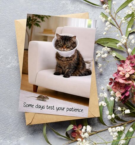 Funny Get Well Soon Card – Cute Cat Recovery Card with Cone, Light Humor Encouragement, Get Well Soon Gift for Friend, Coworker, Family – 5x7 Folded Greeting Card with Envelope in Kuwait