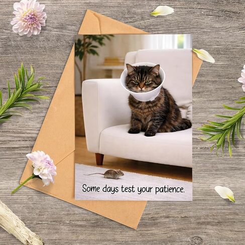 Funny Get Well Soon Card – Cute Cat Recovery Card with Cone, Light Humor Encouragement, Get Well Soon Gift for Friend, Coworker, Family – 5x7 Folded Greeting Card with Envelope in Kuwait