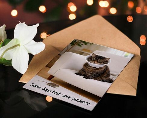 Funny Get Well Soon Card – Cute Cat Recovery Card with Cone, Light Humor Encouragement, Get Well Soon Gift for Friend, Coworker, Family – 5x7 Folded Greeting Card with Envelope in Kuwait