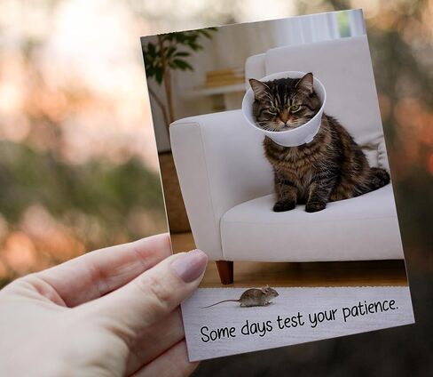 Funny Get Well Soon Card – Cute Cat Recovery Card with Cone, Light Humor Encouragement, Get Well Soon Gift for Friend, Coworker, Family – 5x7 Folded Greeting Card with Envelope in Kuwait