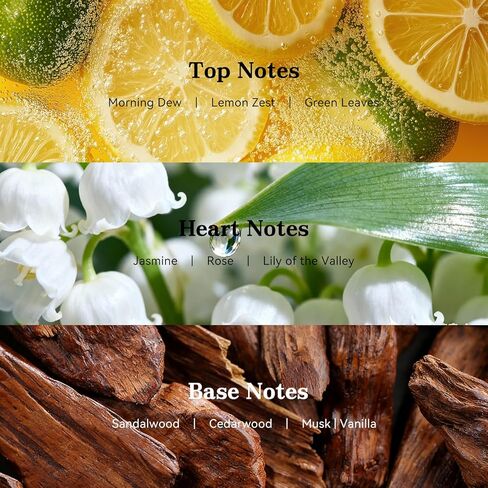 زيت عطري ناشر للمنزل: مستوحى من فنادق الخمس نجوم - زيت عطري فاخر RA156 لموزع الروائح بالموجات فوق الصوتية وبدون ماء - 20 مل .68 أونصة سائلة in Kuwait