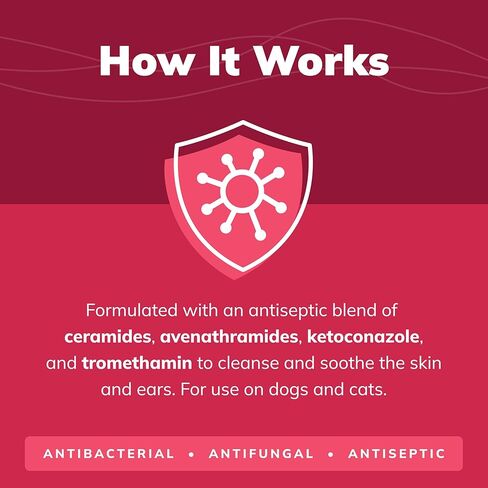 CeraSoothe® KET مطهر فلوش، 16 أوقية in Kuwait